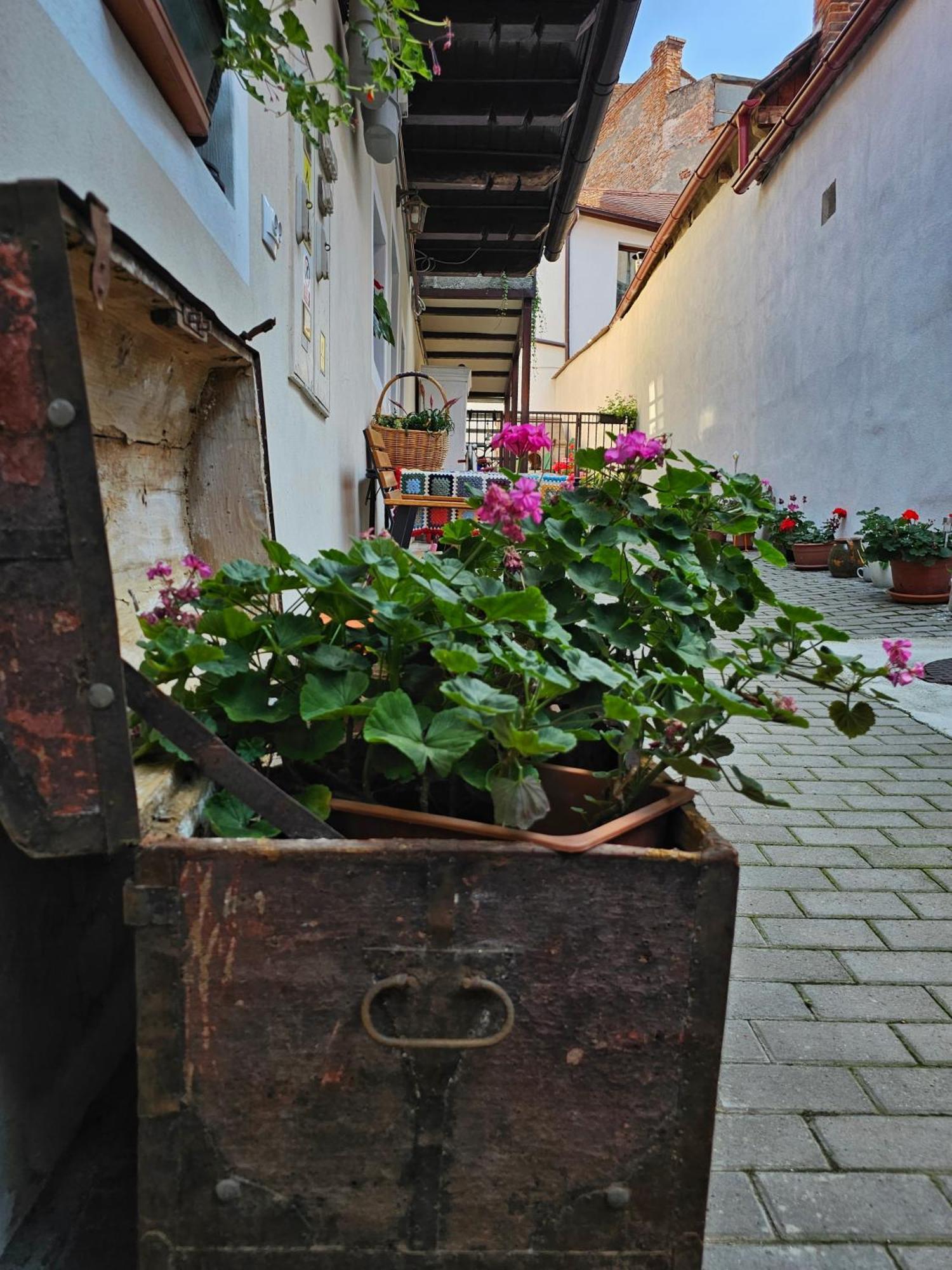 Central Cozy House Sibiuアパートメント エクステリア 写真