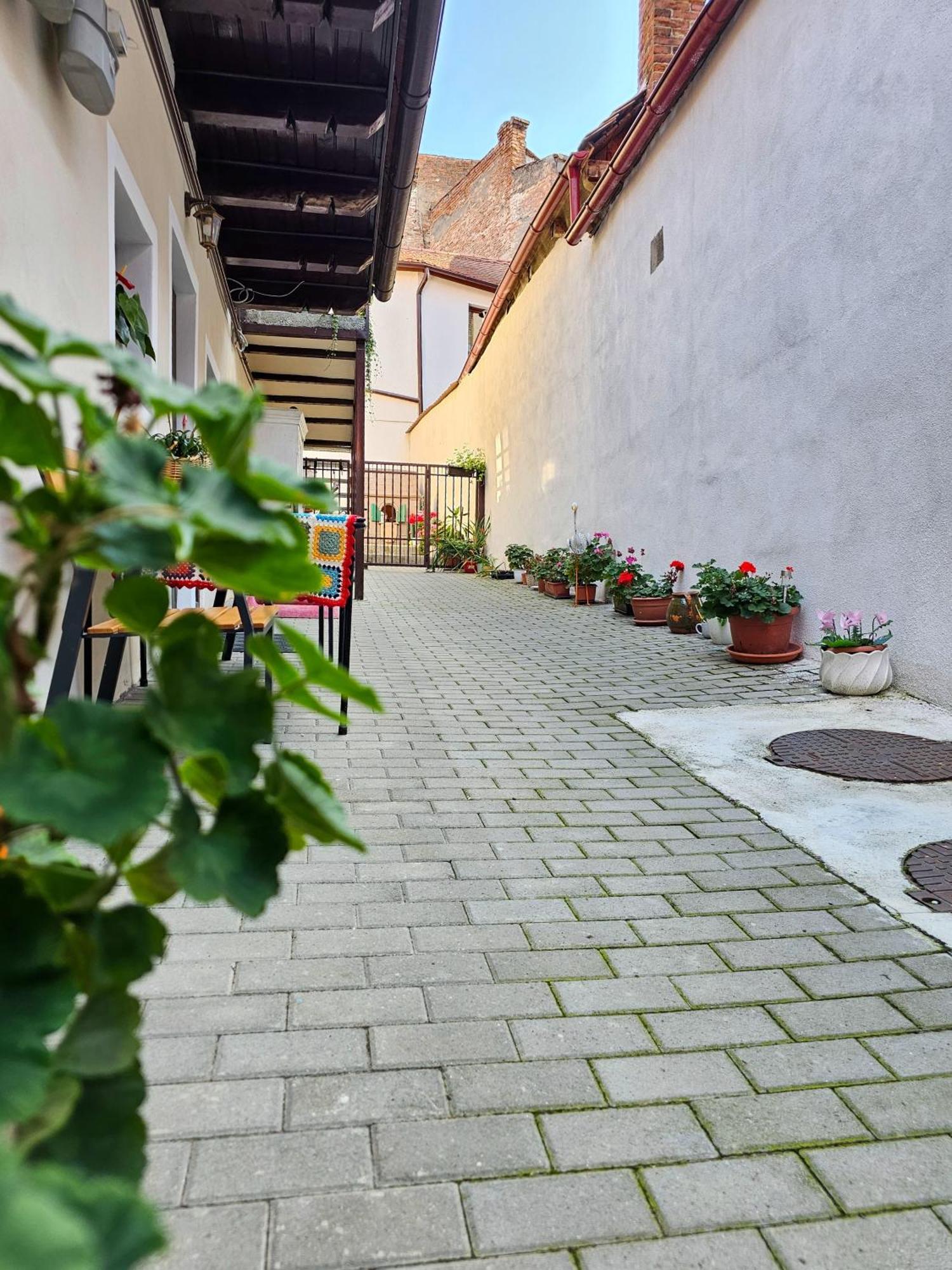 Central Cozy House Sibiuアパートメント エクステリア 写真